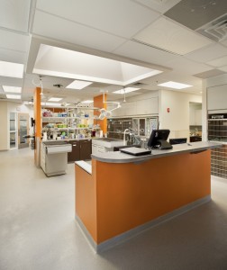 Black Horse Pike Animal Hospital construction laboratory