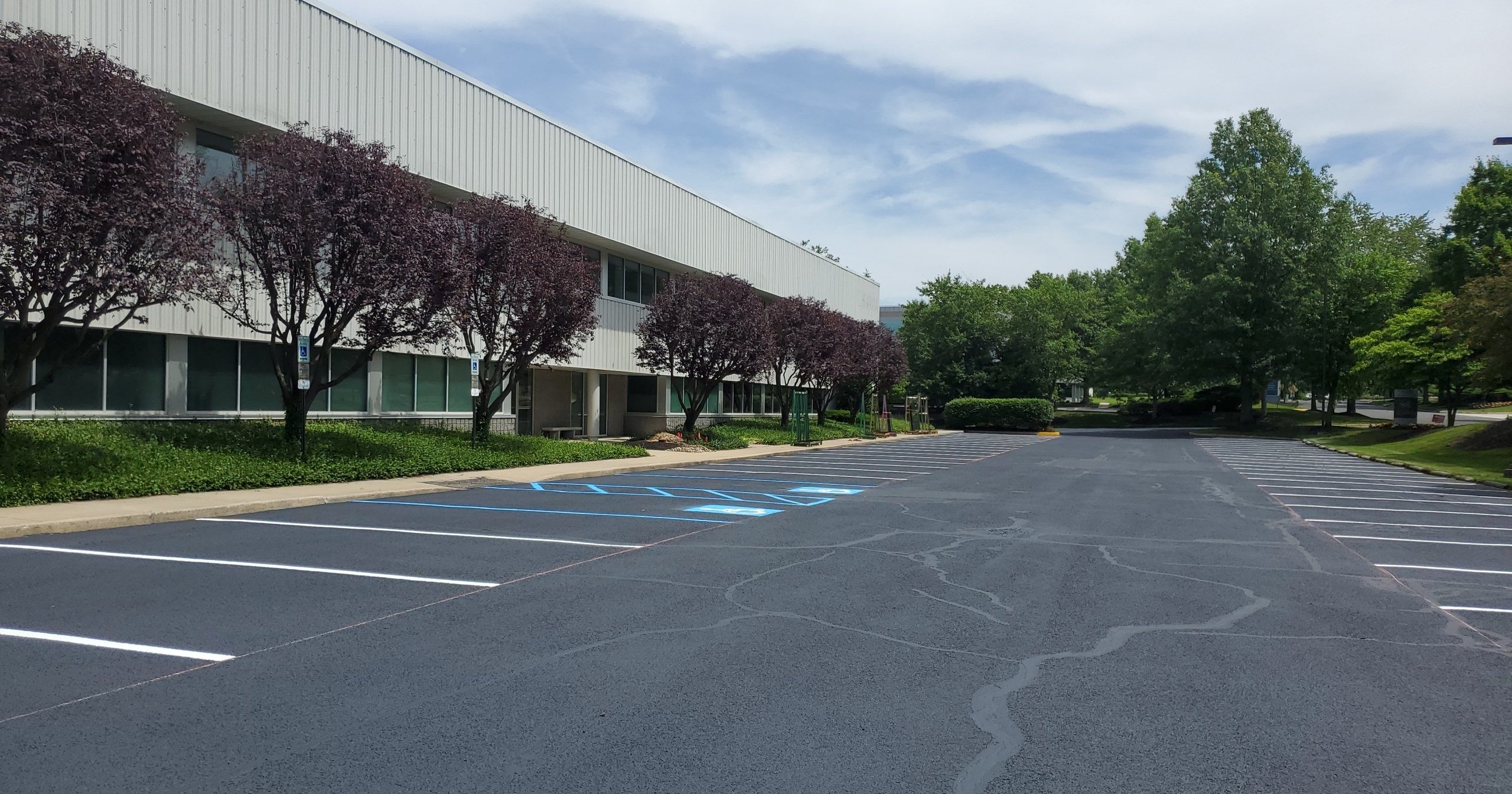 Bright Lights USA The Group